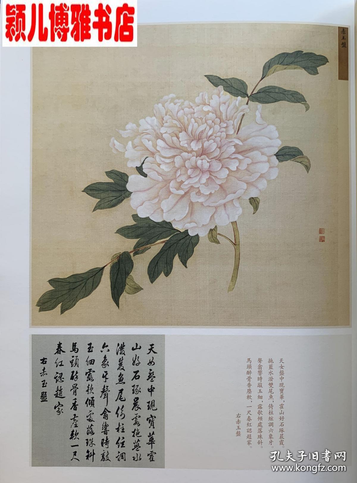 牡丹花谱曲谱完整版_牡丹花简笔画(5)