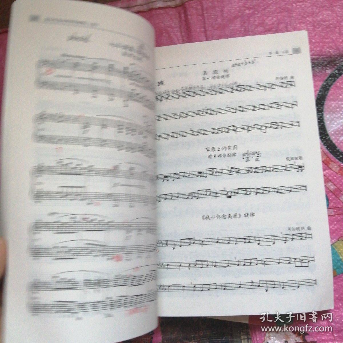 声乐曲谱例_纯五声乐曲谱例图片(3)