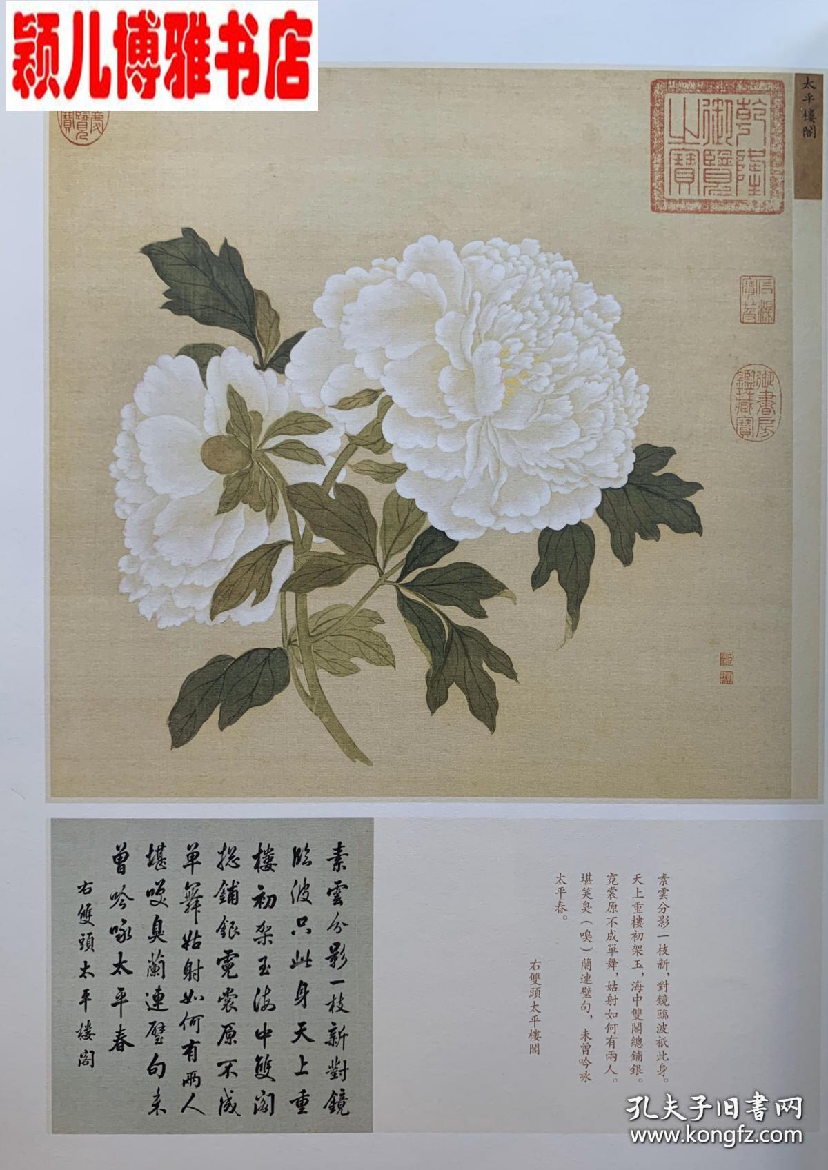 牡丹花谱曲谱完整版_牡丹花简笔画(5)