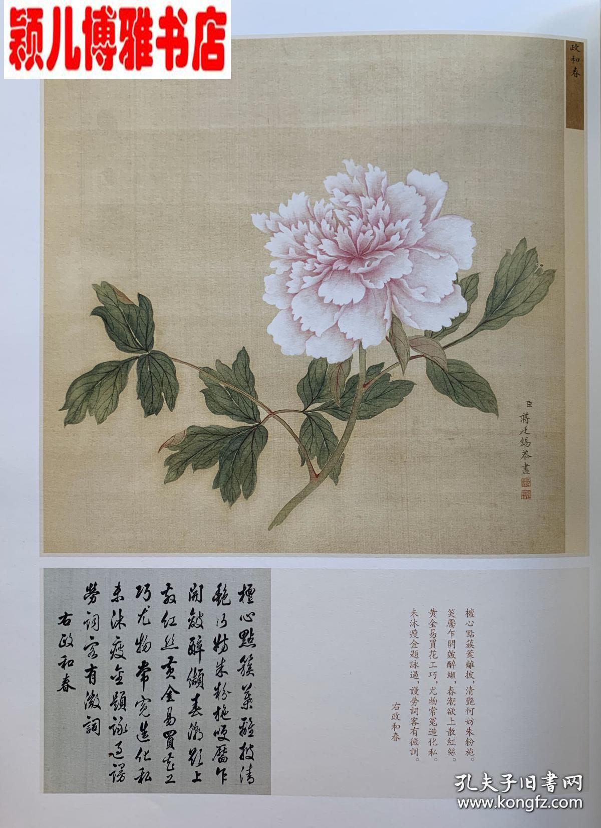 牡丹花谱曲谱完整版_牡丹花简笔画(3)