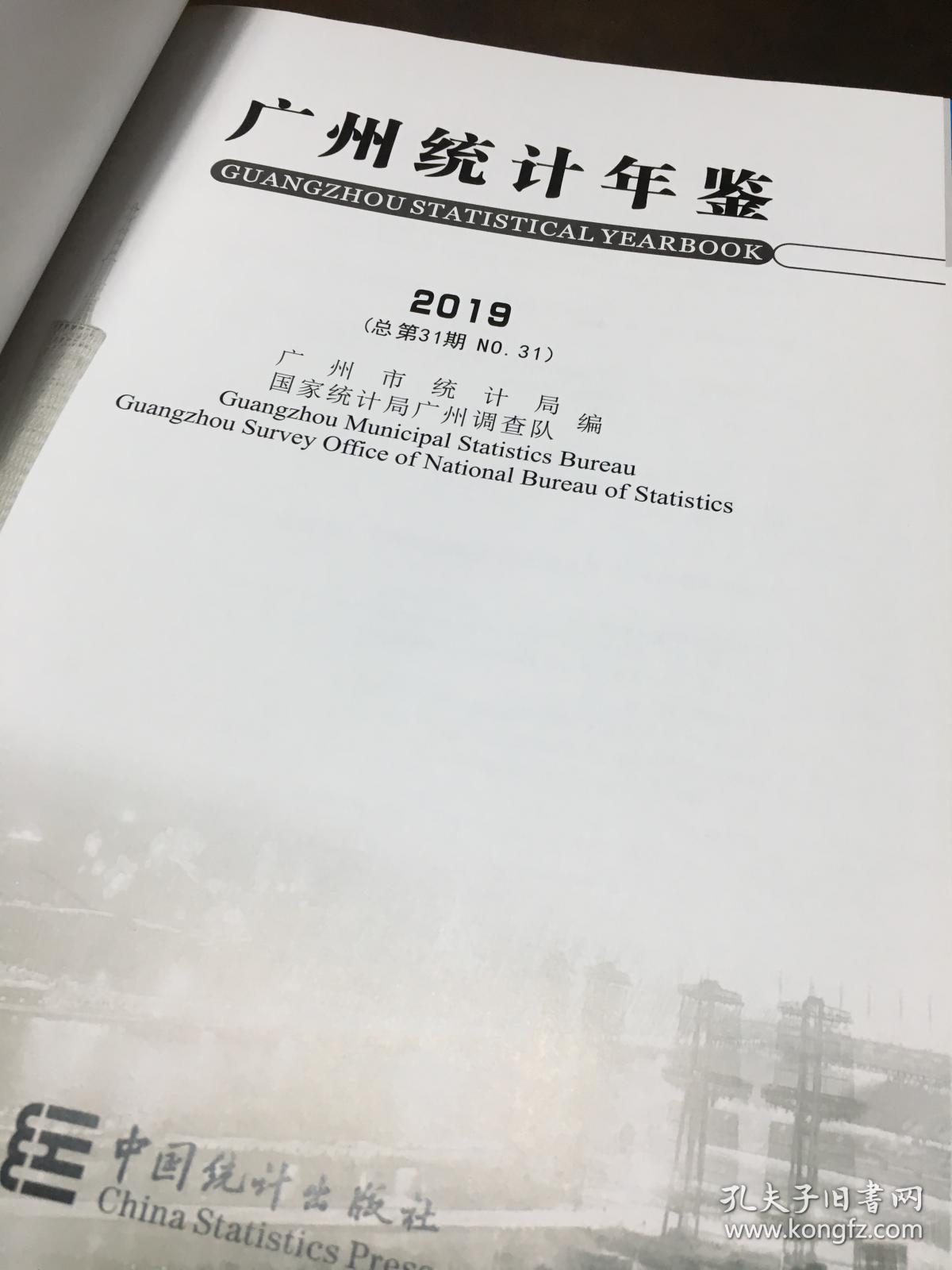统计年鉴2019 人口_统计年鉴图片(2)