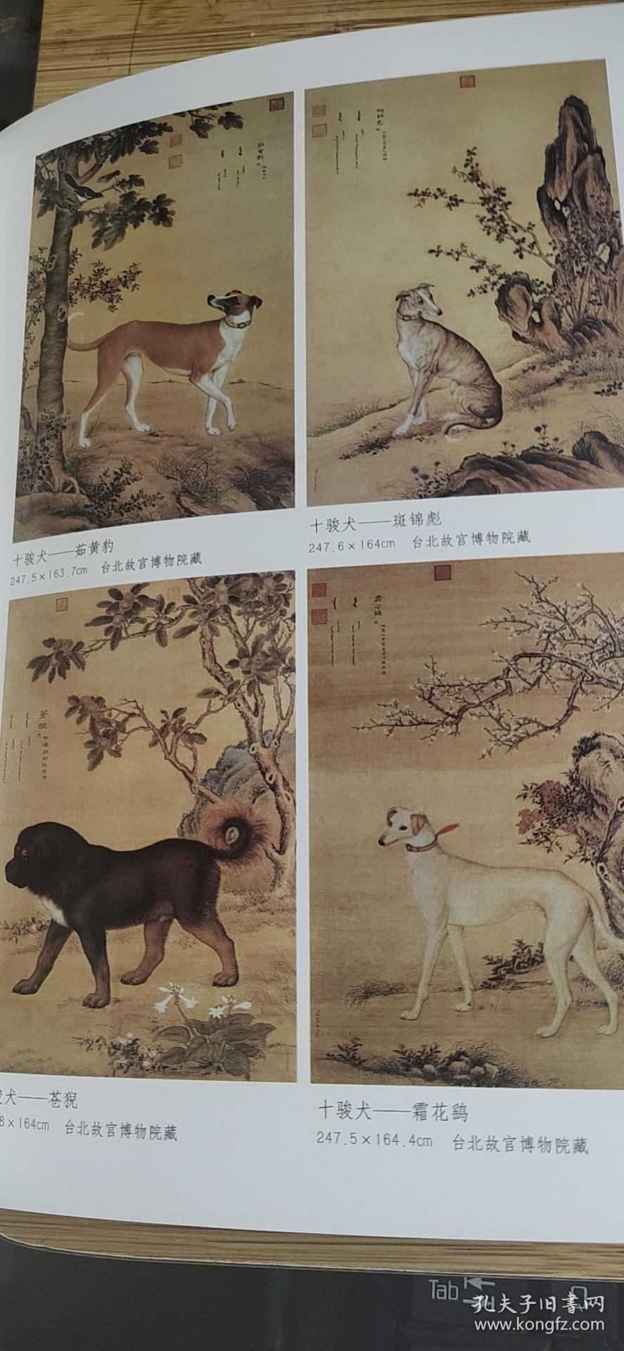 郎世宁—中国名画家全集