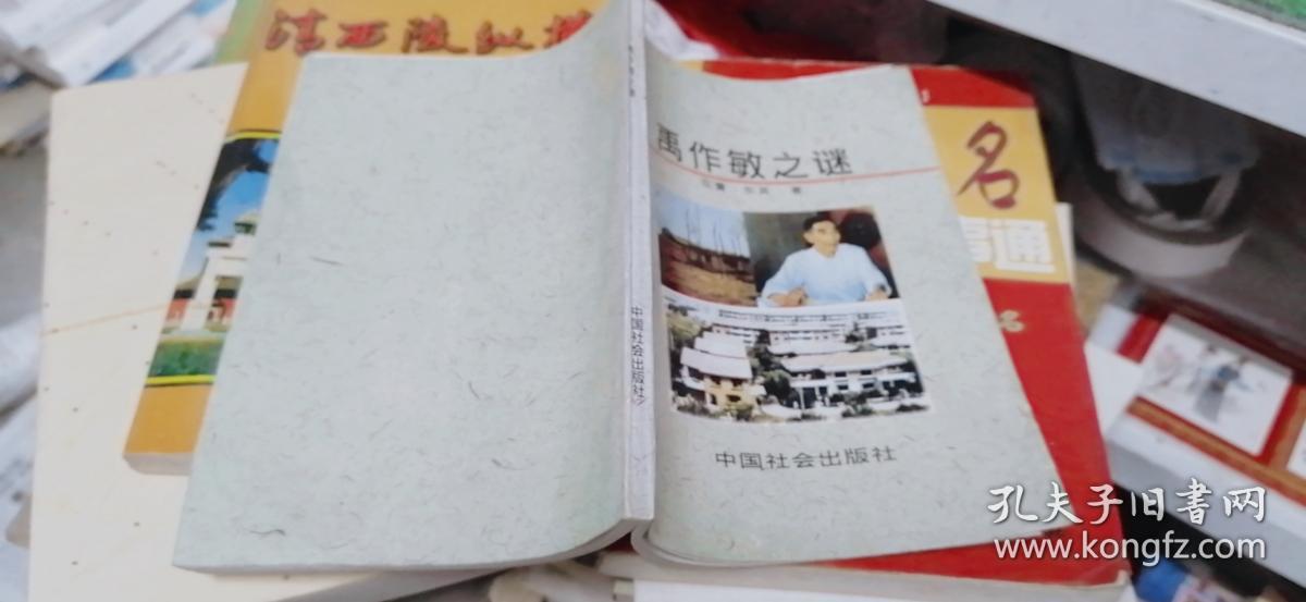 禹作敏之谜