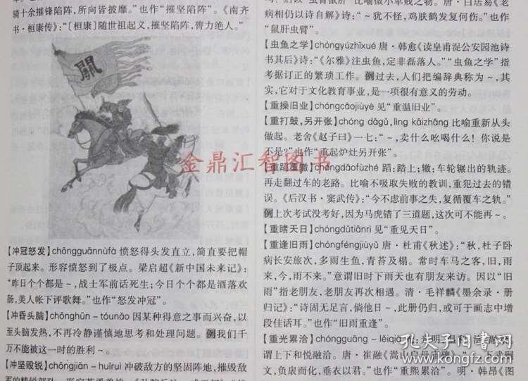 大什么什么正成语大全_成语图片大全(3)