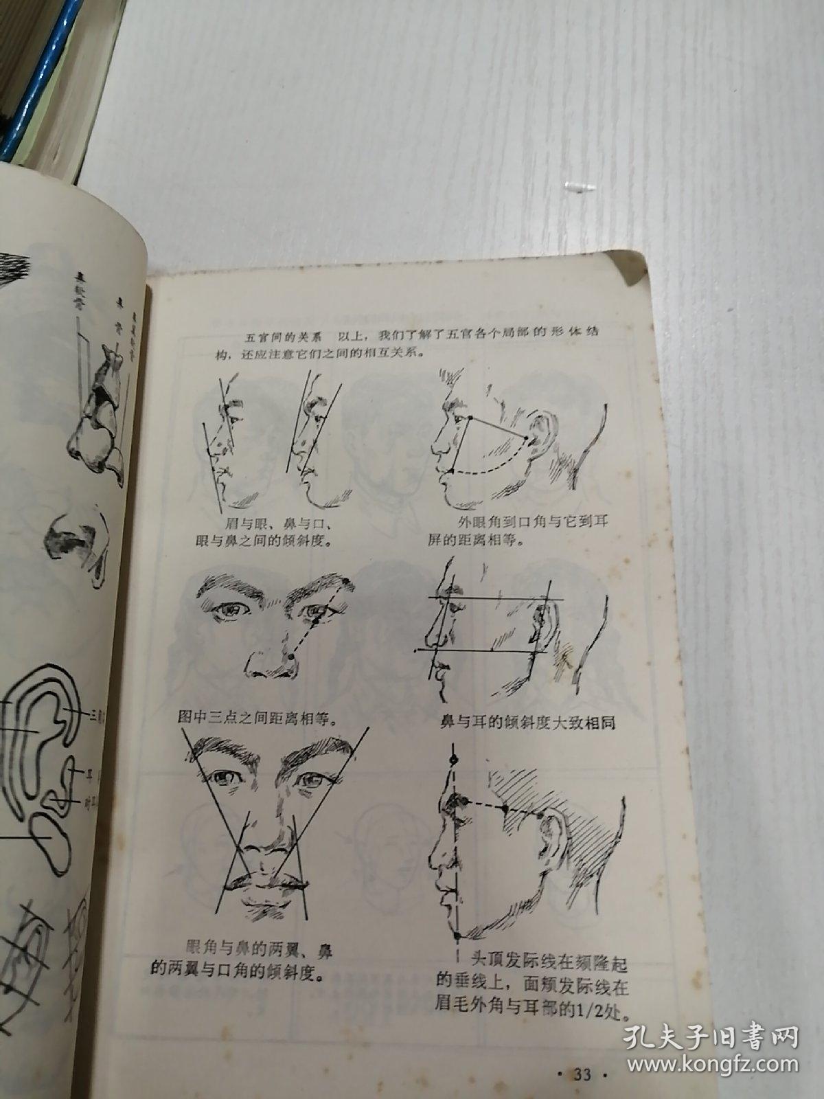 艺用人体结构