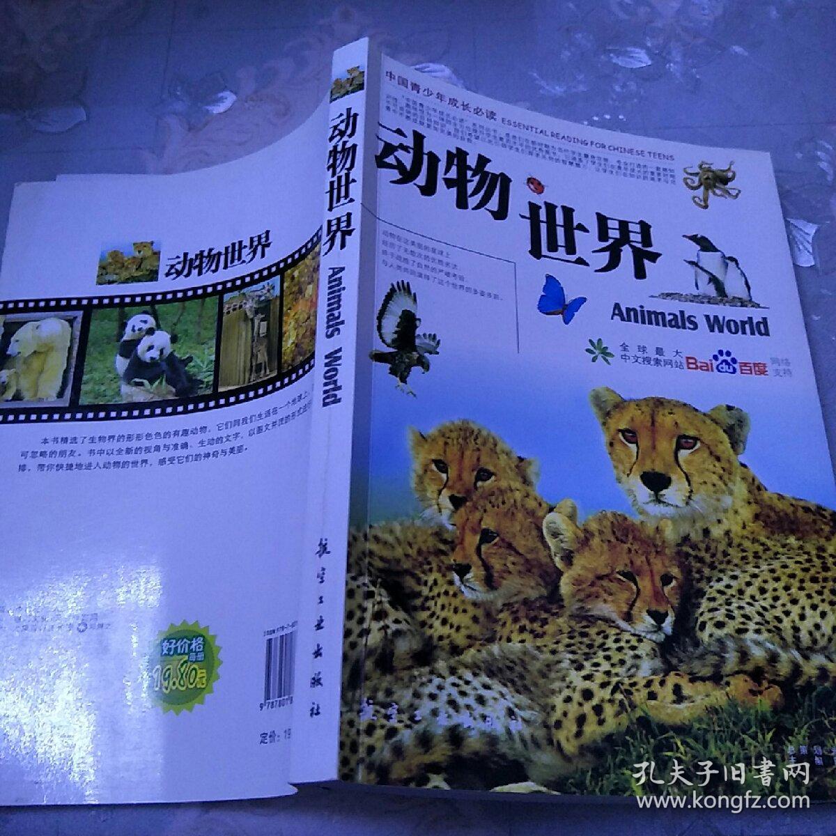 动物世界