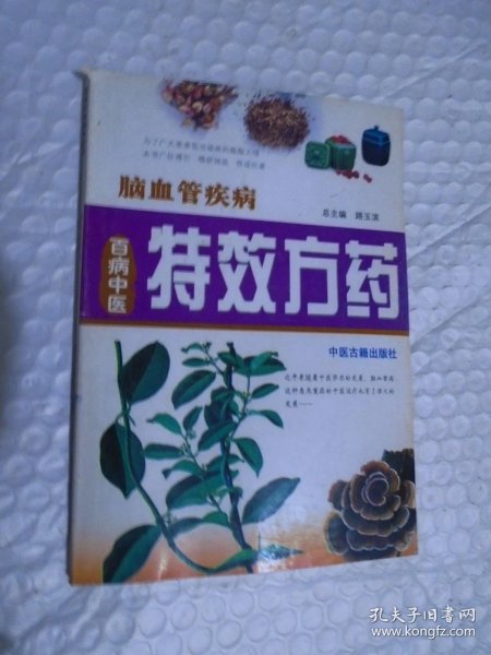 01e07907921509863b_n.jpg