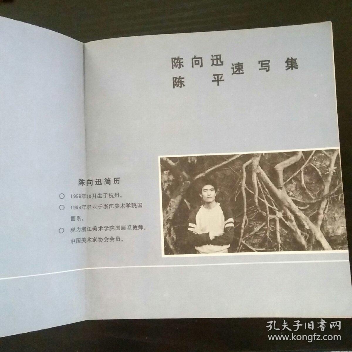 陈向迅陈平速写集