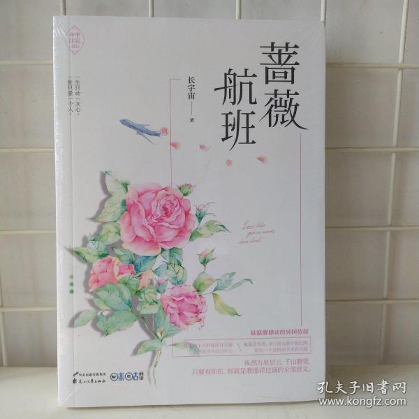 《蔷薇航班》低价购书_长宇宙 著_文学_孔网