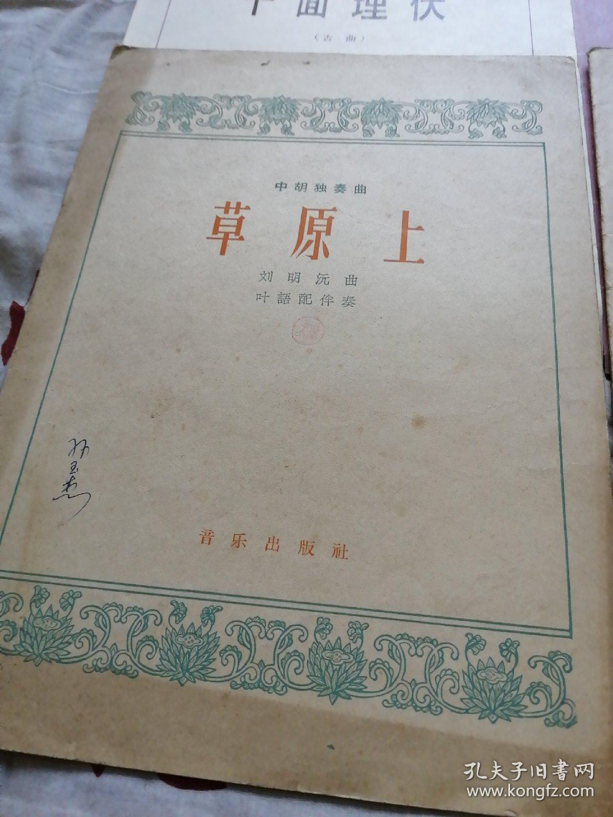 草原上中胡曲谱_中胡独奏曲草原上简谱(4)
