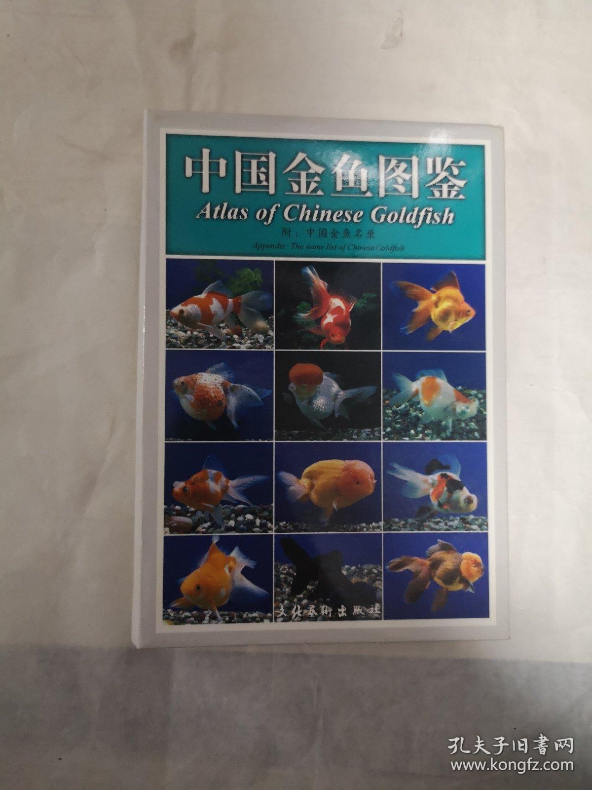 中国金鱼图鉴 中英文本 精装 品佳 孔夫子旧书网