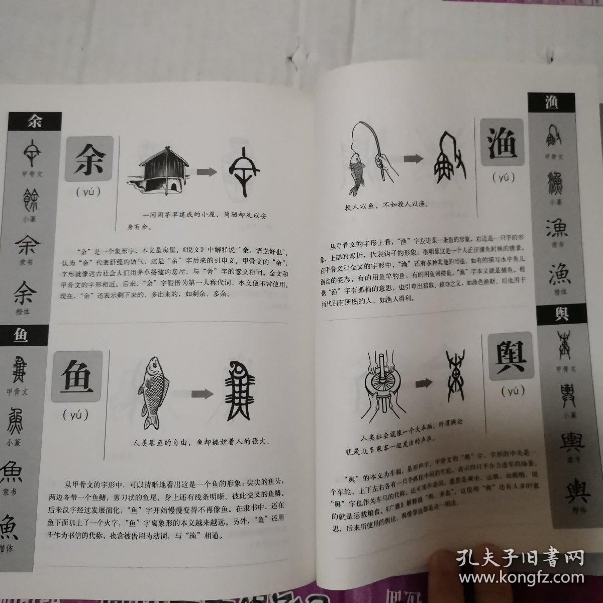 图解说文解字·画说汉字(侧重汉字的甲骨文和金文解说