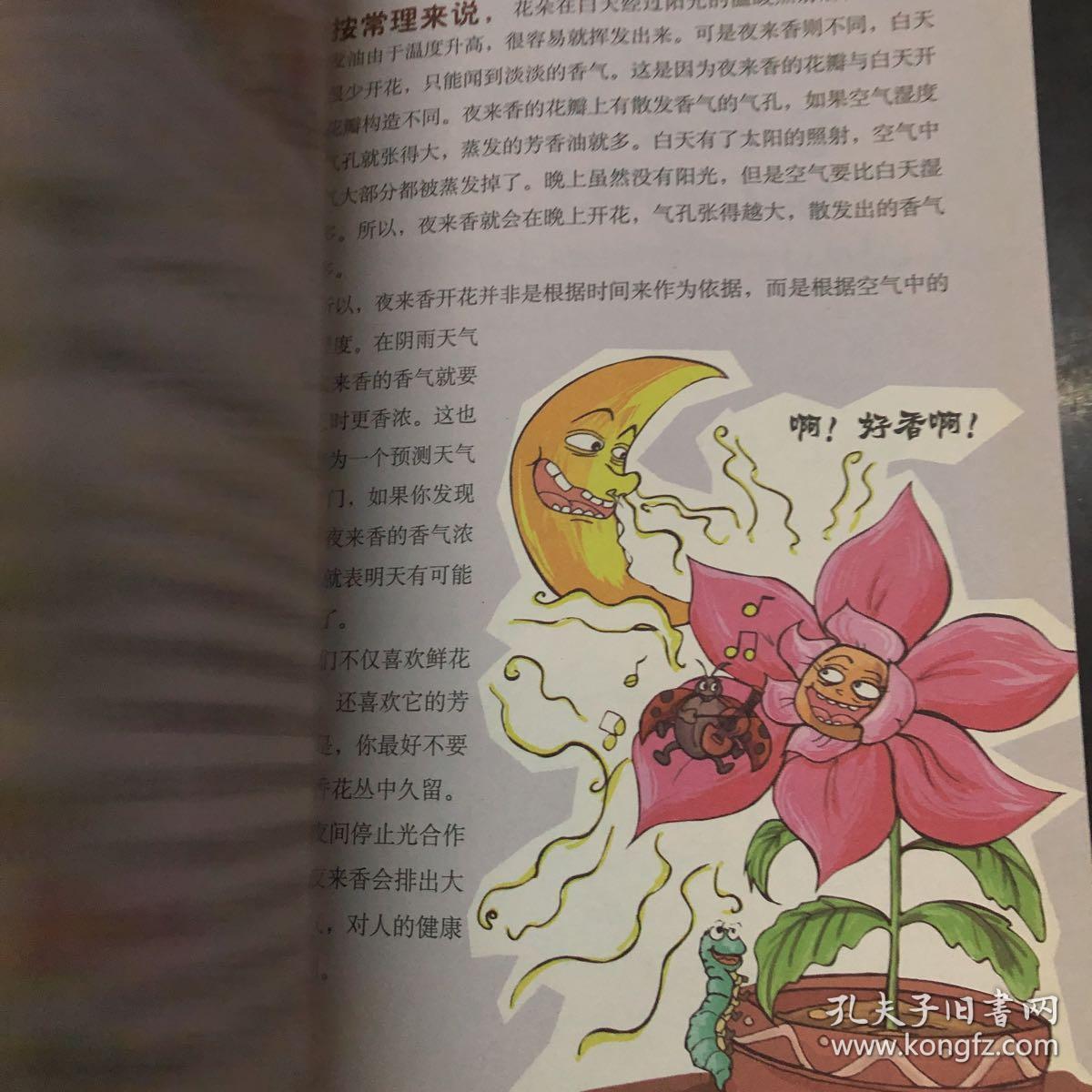 激发孩子想象力的1000个奇思妙想:有趣的植物世界