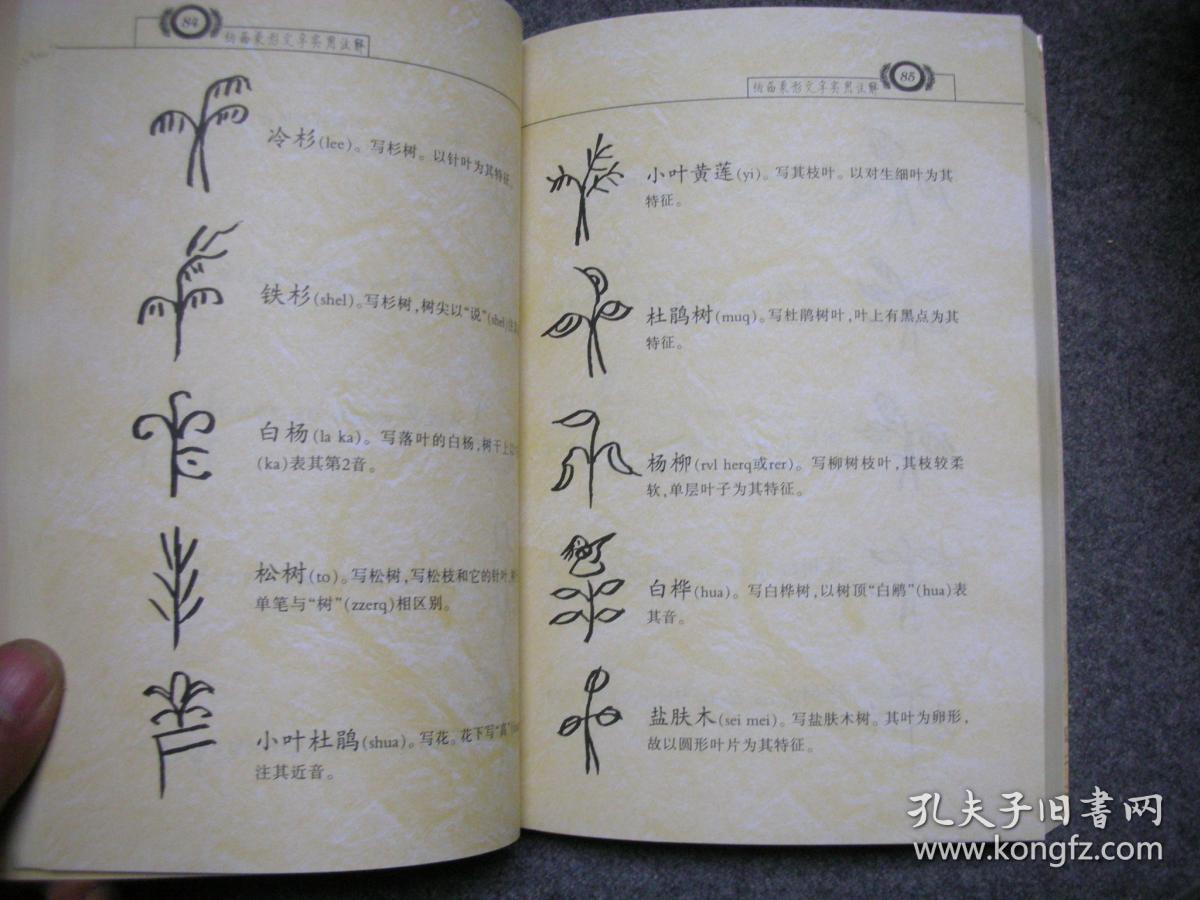 纳西象形文字实用注解