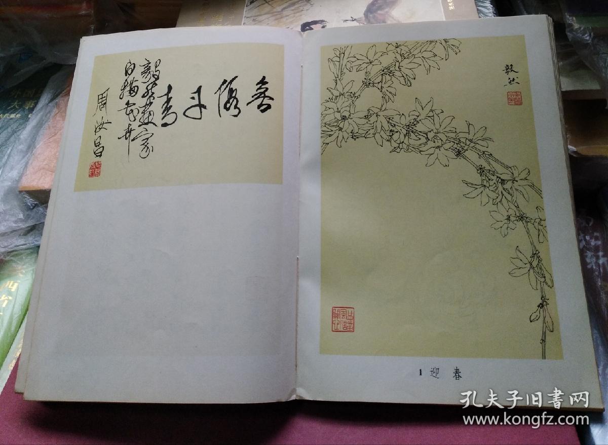 姜毅然白描花卉集