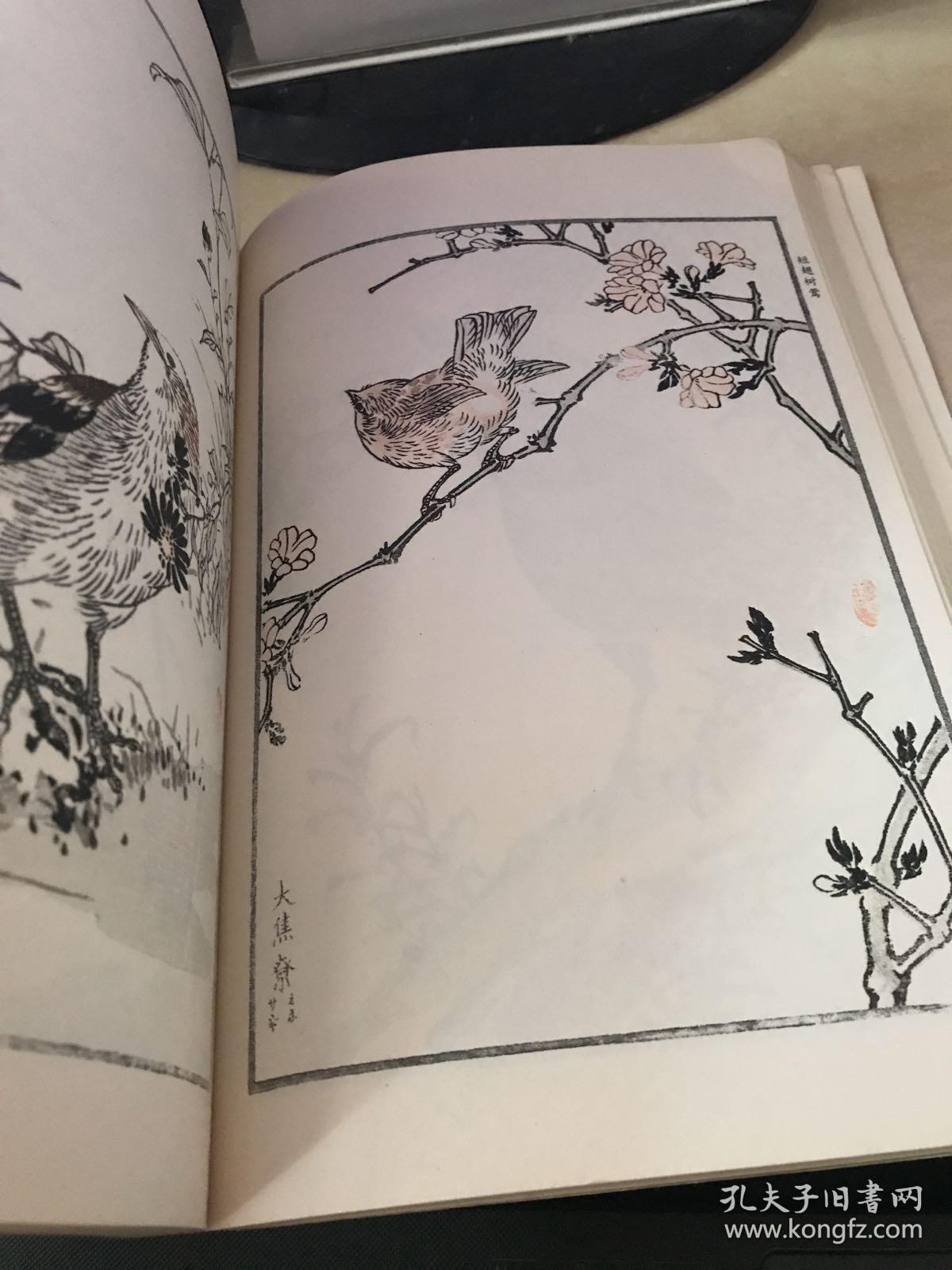 梅岭百鸟画谱