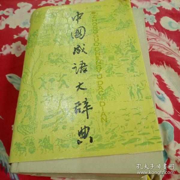 大中什么什么成语_成语故事图片(2)