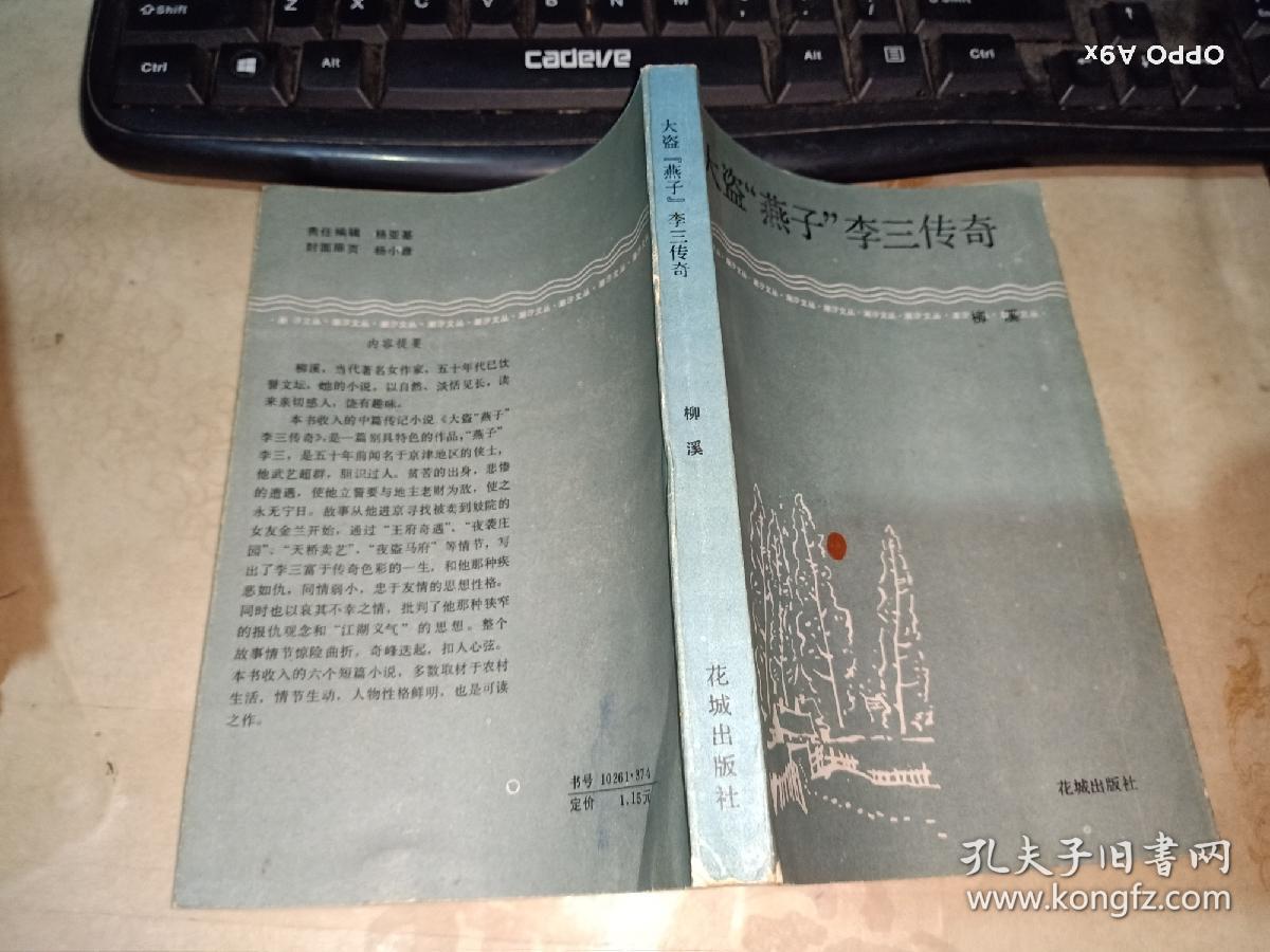 大盗燕子李三传奇.