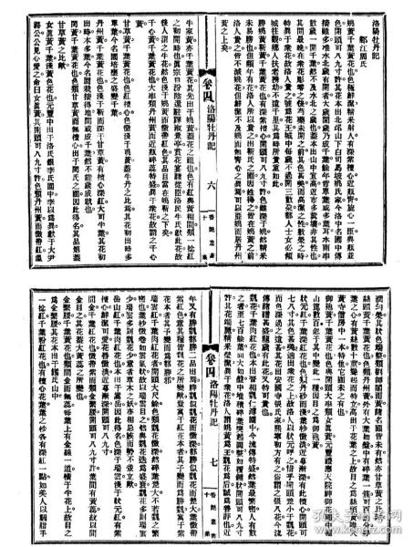 牡丹花谱曲谱完整版_牡丹花简笔画(4)