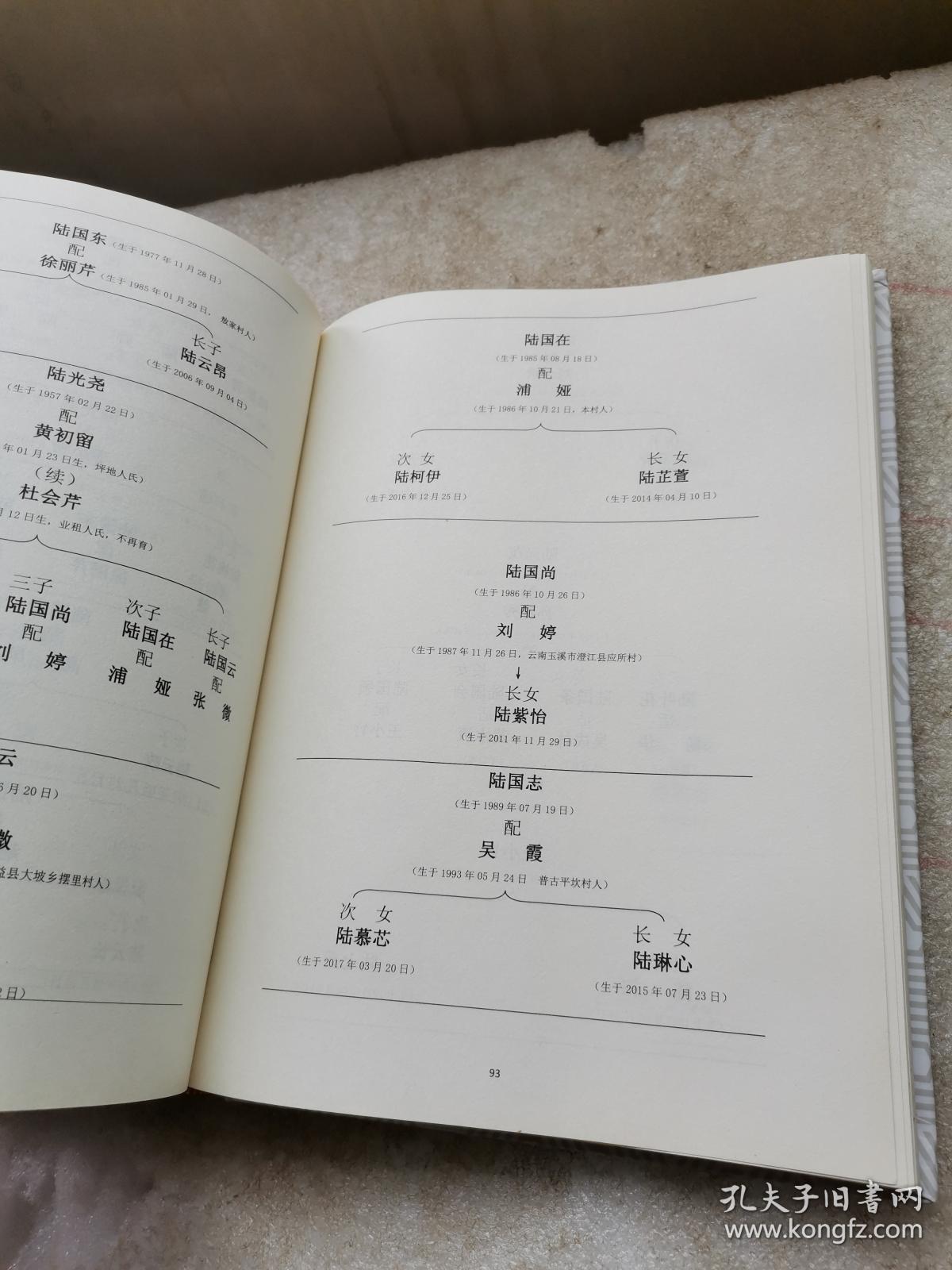 卢氏家谱(忠义支系)