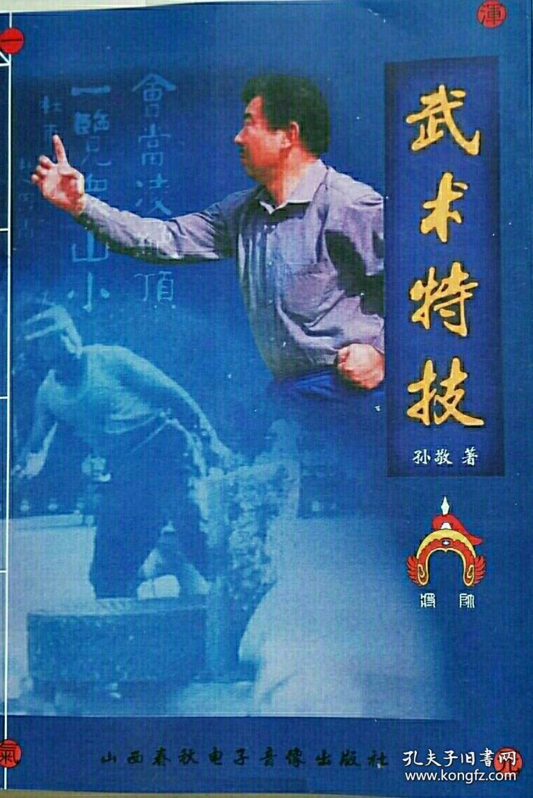 武术特技