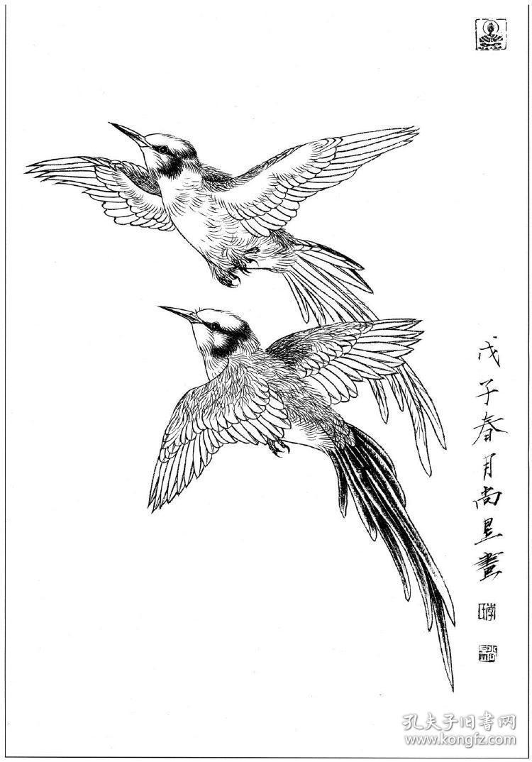 工笔画花鸟白描线稿黑长尾蜂鸟 复制品 画芯 可装裱 画框3ede