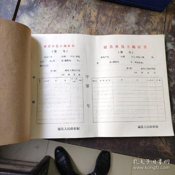 上淘滩简谱_过七里滩简谱(3)