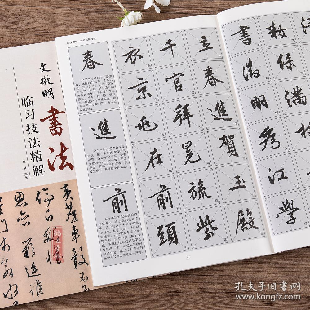 文徵明书法临习技法精解 历代名家碑帖 行书咏花诗 自作诗卷 口号十首