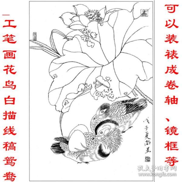 工笔画花鸟白描线稿鸳鸯 复制品 画芯 可装裱 画框竖幅立轴bca8
