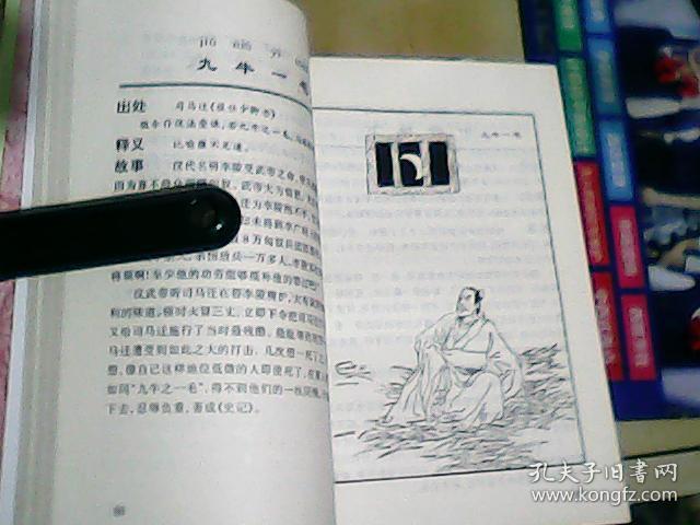 成语什么大观_竹海大观有什么景点(3)