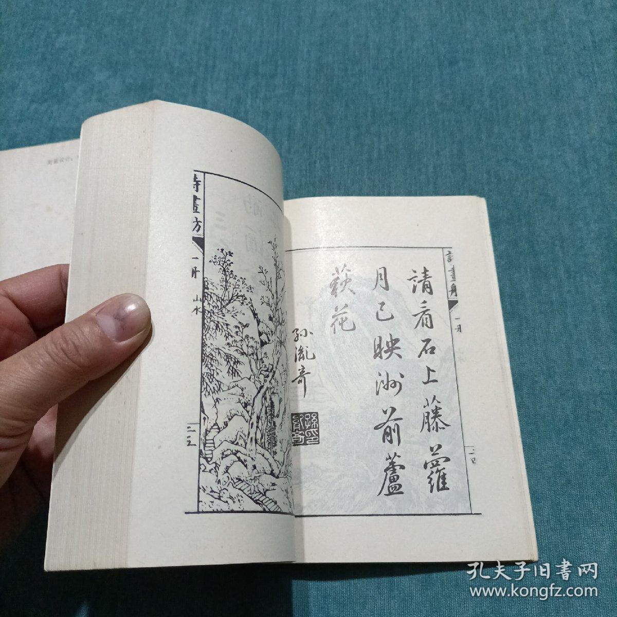 虫二飞曲谱_像蟑螂会飞的硬壳虫