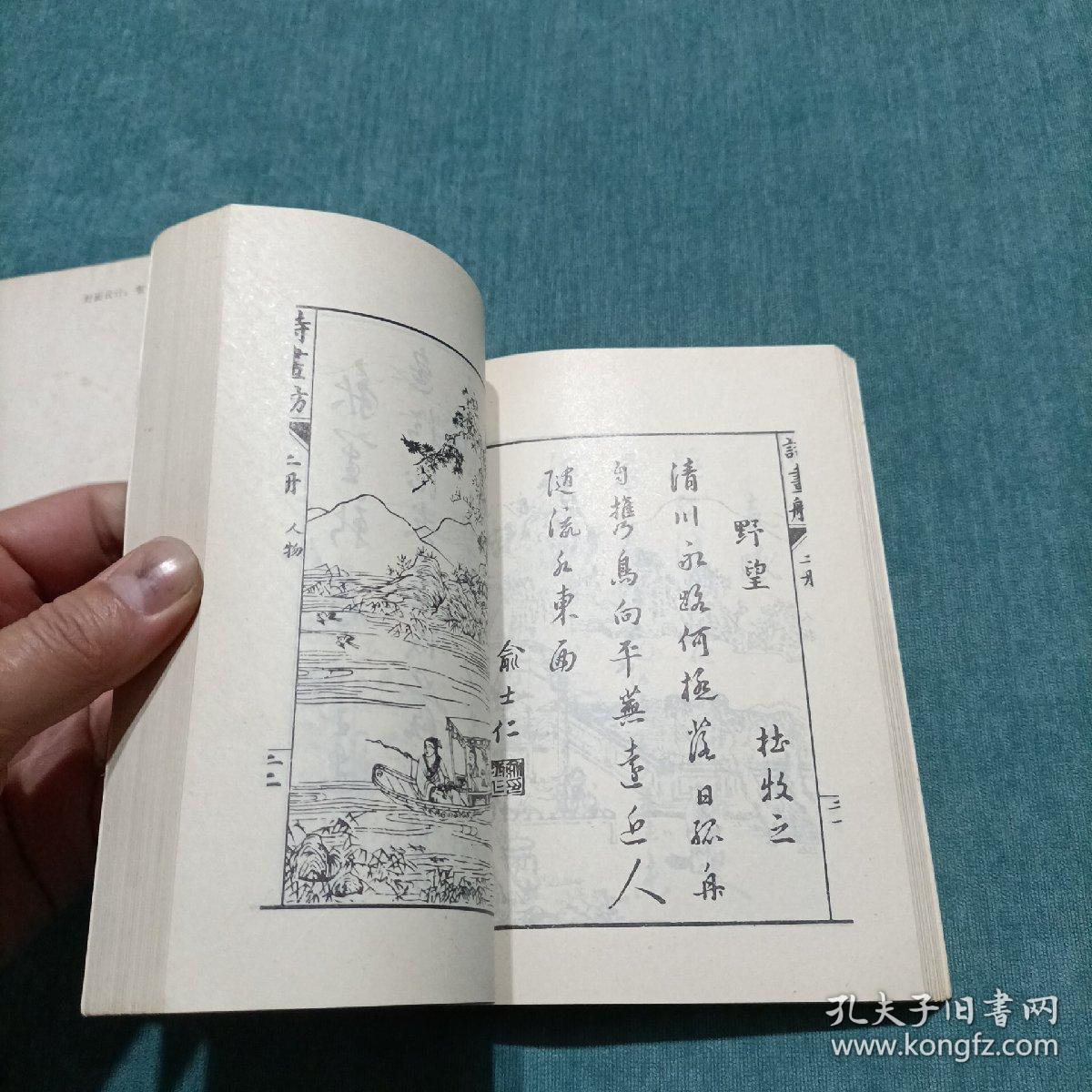 虫二飞曲谱_像蟑螂会飞的硬壳虫