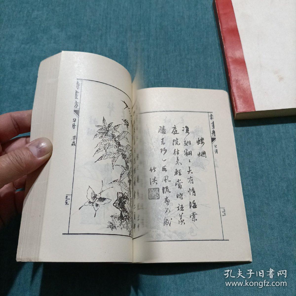 虫二飞曲谱_像蟑螂会飞的硬壳虫