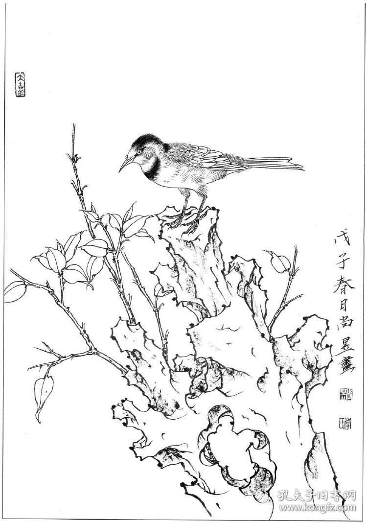 工笔画花鸟白描线稿红头长尾山雀 复制品 画芯 可装裱