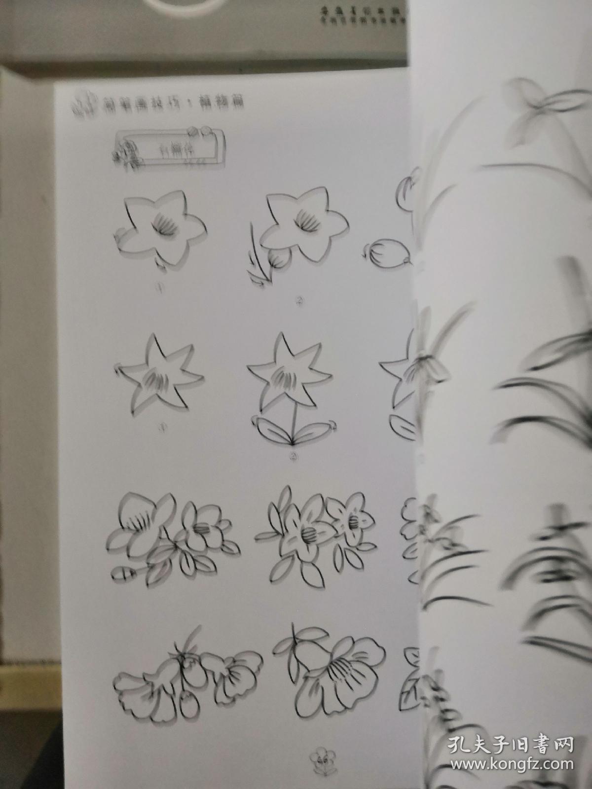 简笔画技巧风景篇植物篇人物篇技法应用资料3册合售
