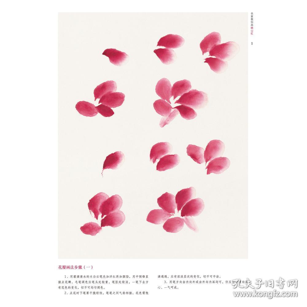名家教你画映山红 中国画技法丛书国画山水国画入门教程随书附赠免费