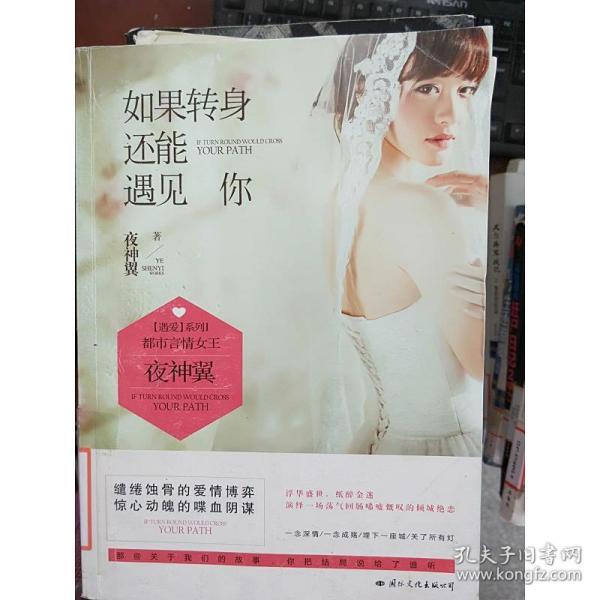 如果转身还能遇见你:盛大文学大神级作家,磨练了5年的作品终于出版了.