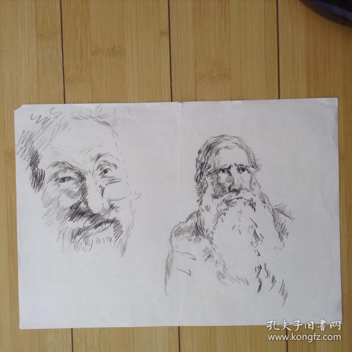 托尔斯泰画像 手绘素描 货号9