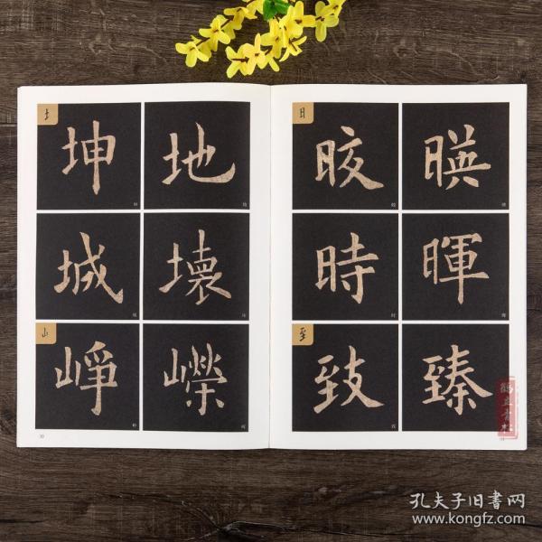 欧阳询楷书教程单字放大本彩色版毛笔书法字帖临摹范本成人初学者零