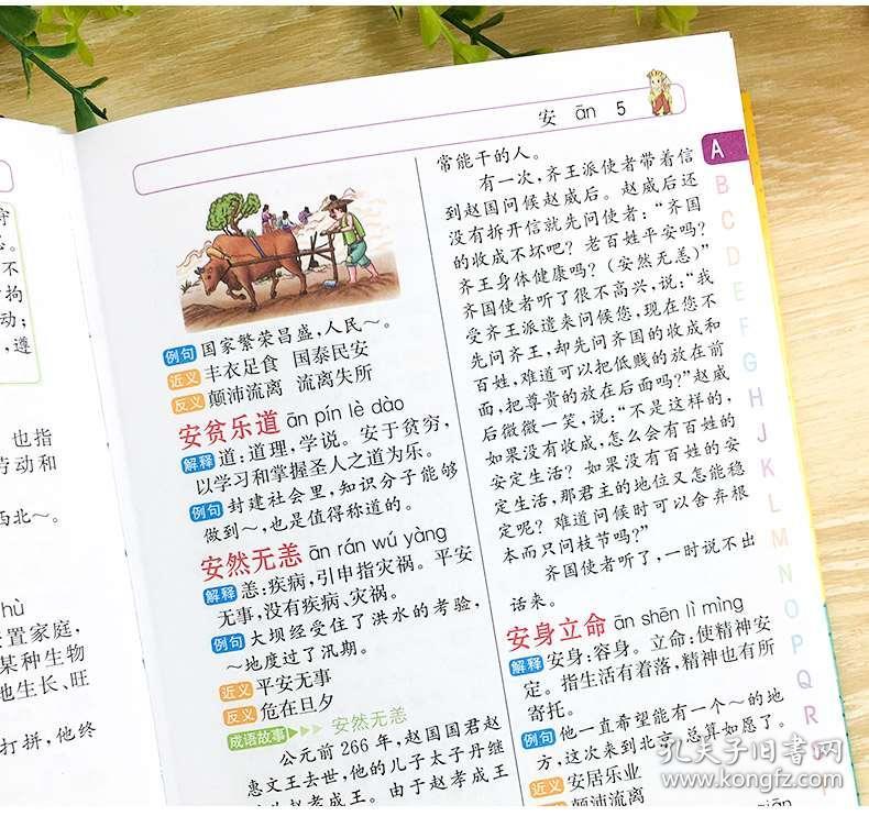 大什么失什么四字成语(3)