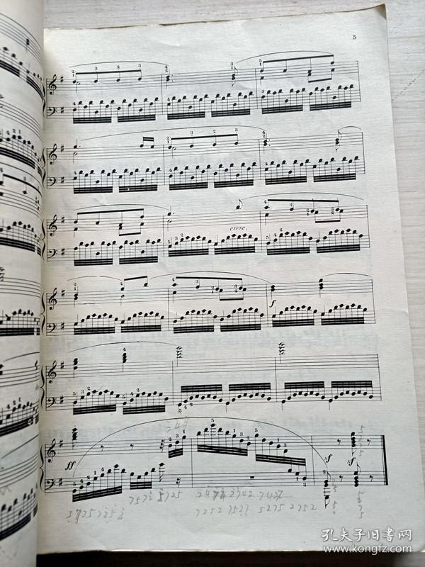 手指琴曲谱教程_手指琴曲谱简谱