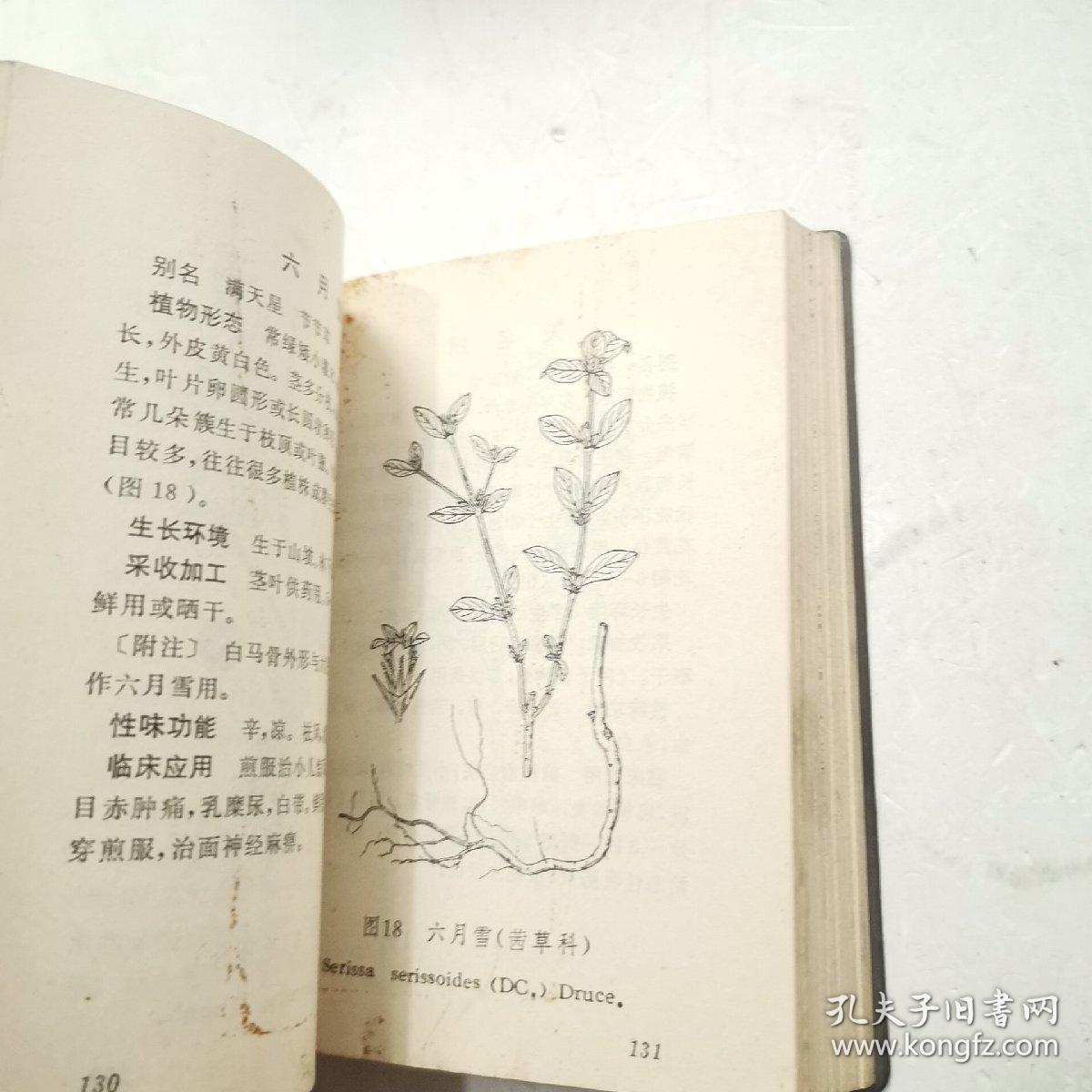 苏草什么成语_成语故事简笔画(2)