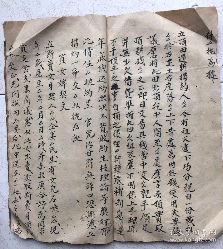 卖身契曲谱_卖身契模板(2)