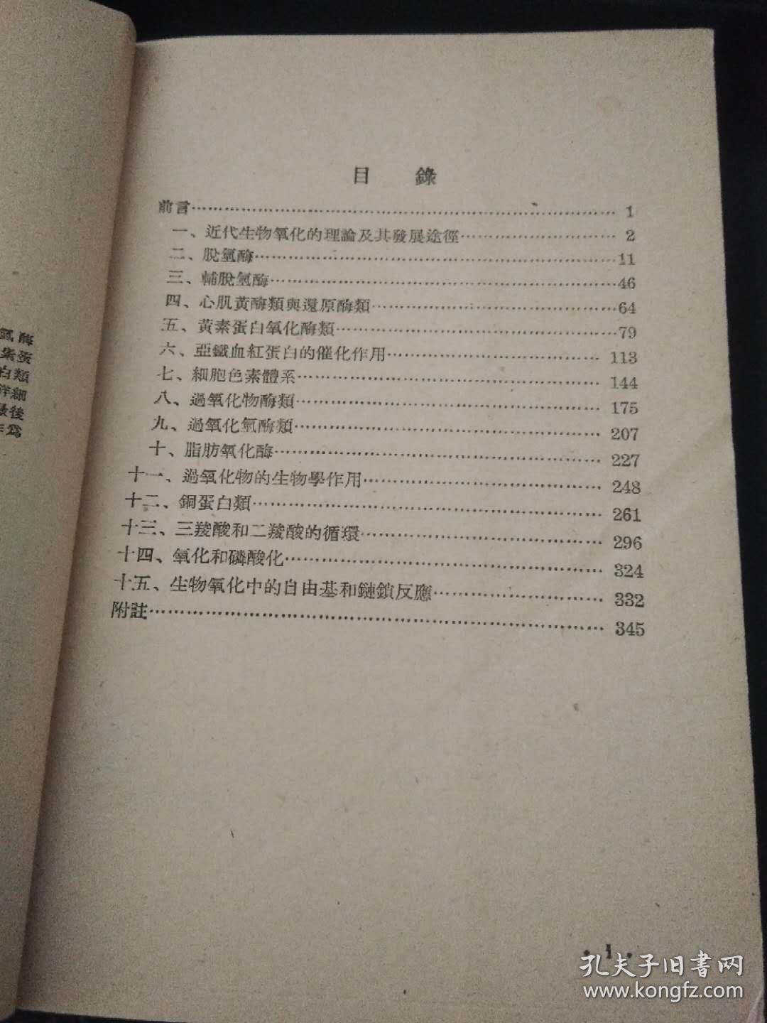 020b6fb2669f8ff556_b.jpg