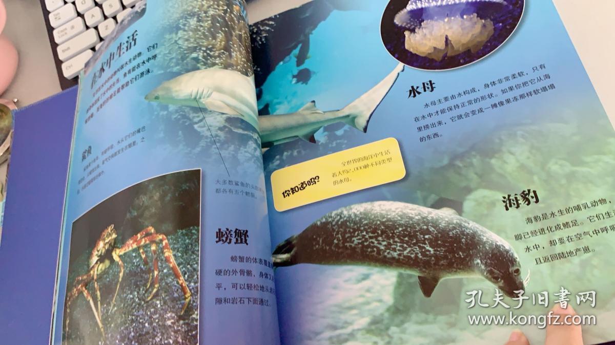 探索频道·少儿大百科全书:海洋生物