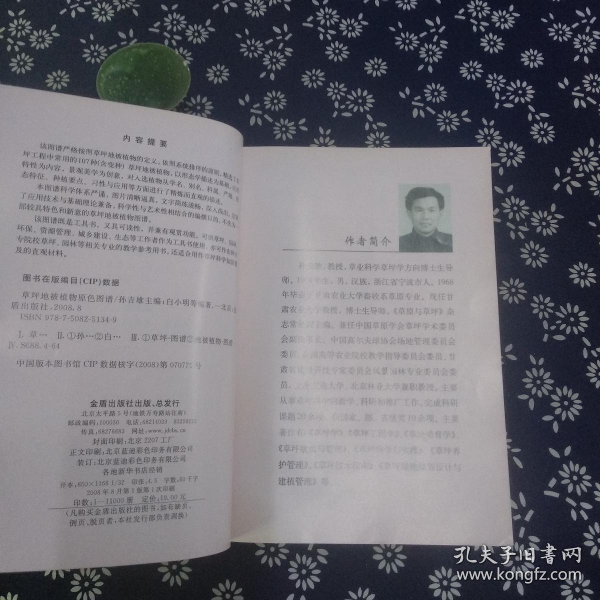 原色简谱_三原色简谱(2)