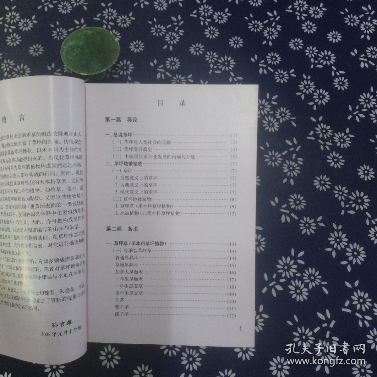 原色简谱_三原色简谱(2)
