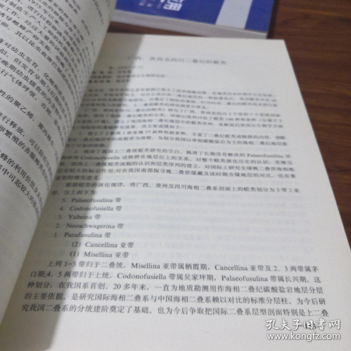 020c91094252acc5fd_b.jpg