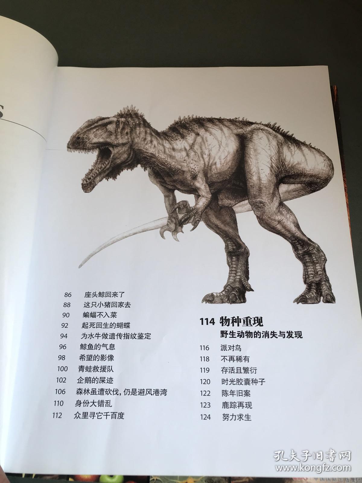 什么大豹成语_成语故事图片(3)