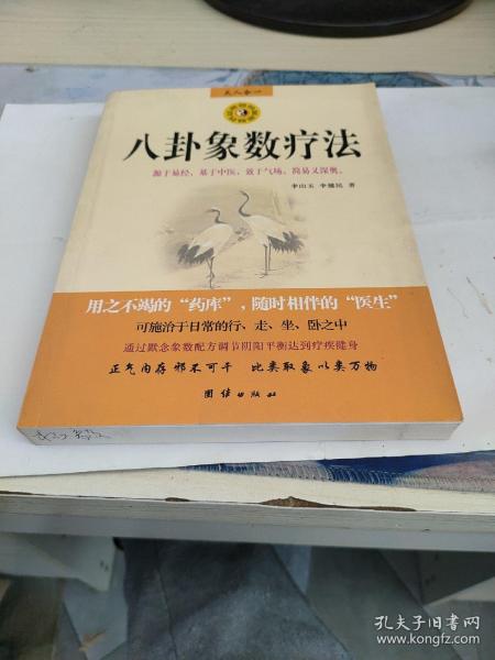 八卦 象 数 疗法